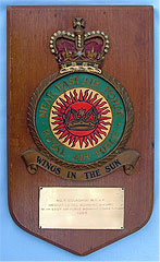 No 5 Squadron also won the Cup for the best Navigation results during the Force Ex, 1963
