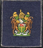 Station Warrant Officer