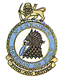 5 Sqn Badge