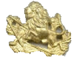 Cap Badge (Other Ranks)