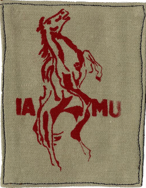 Internal Affairs Mounted Unit Flash